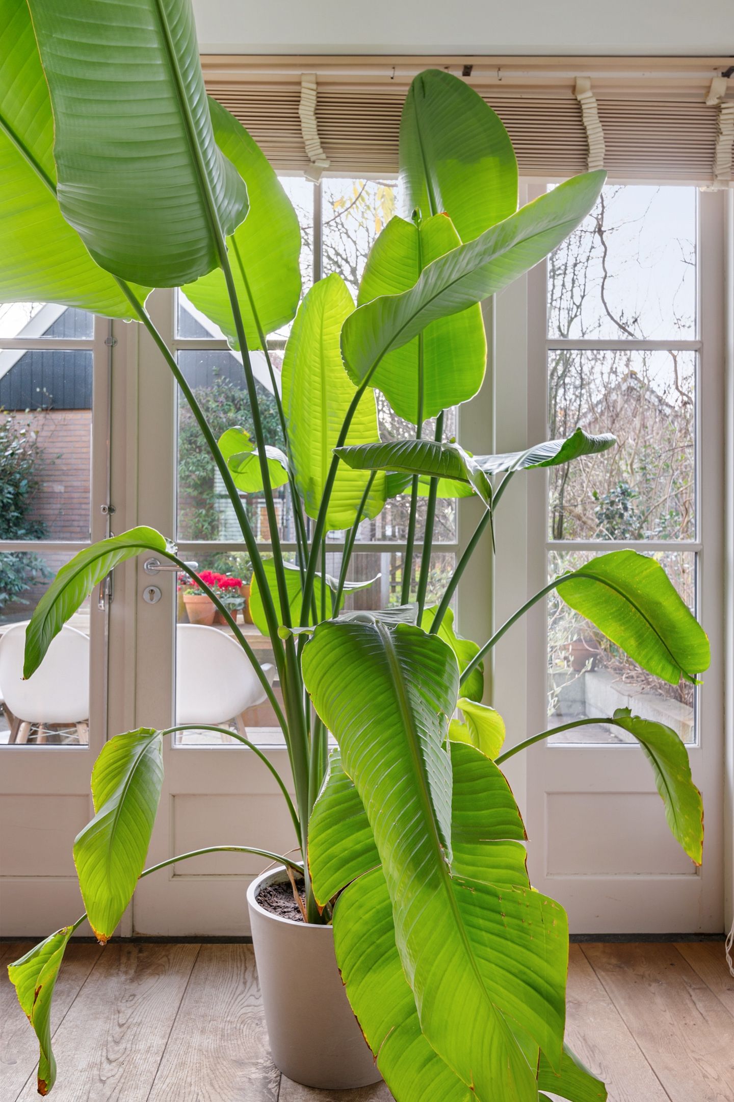 Foto 20 van Rozendaal 10