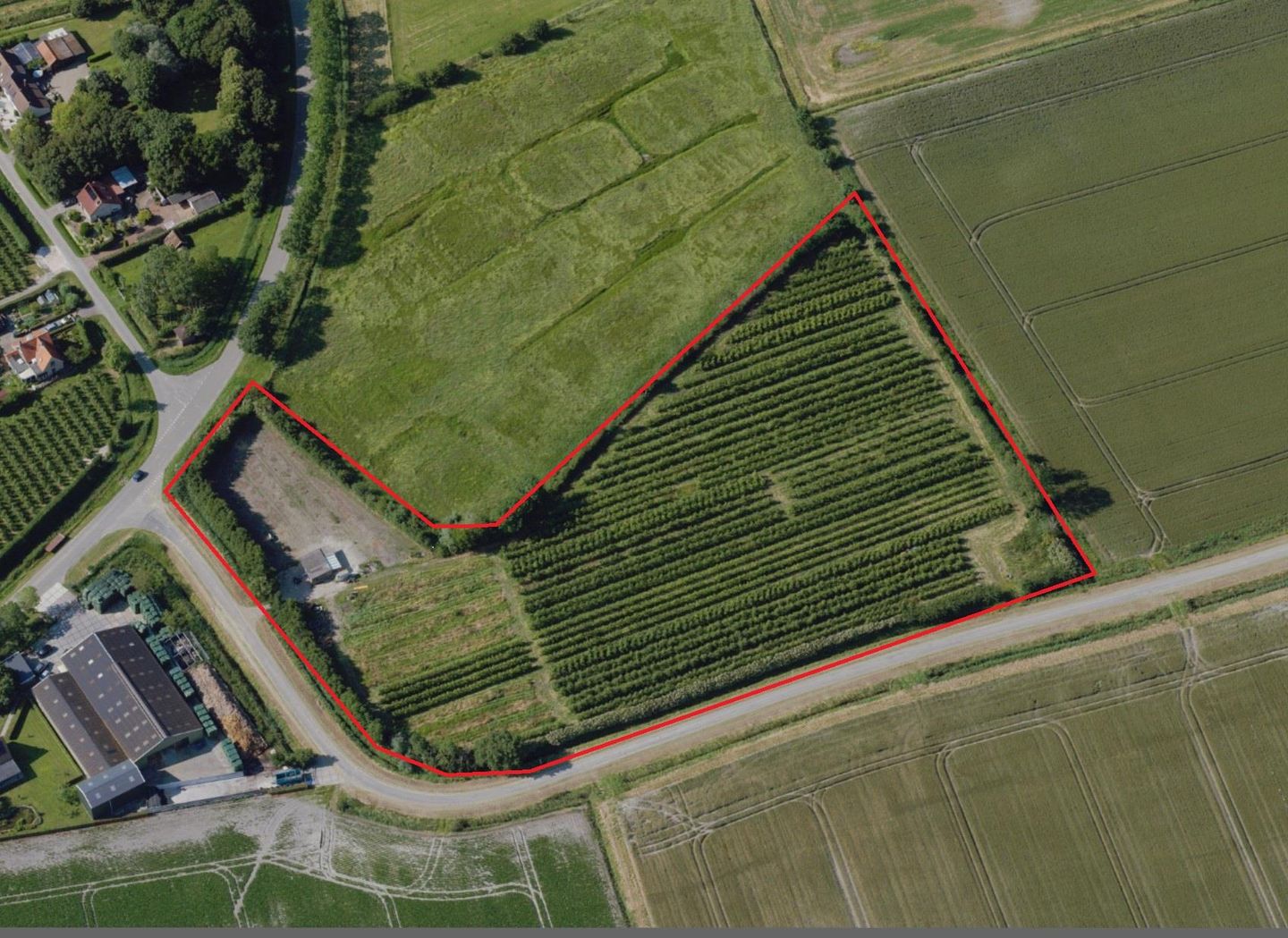 aan de Ruisweg - Kattendijke - Afbeelding 1