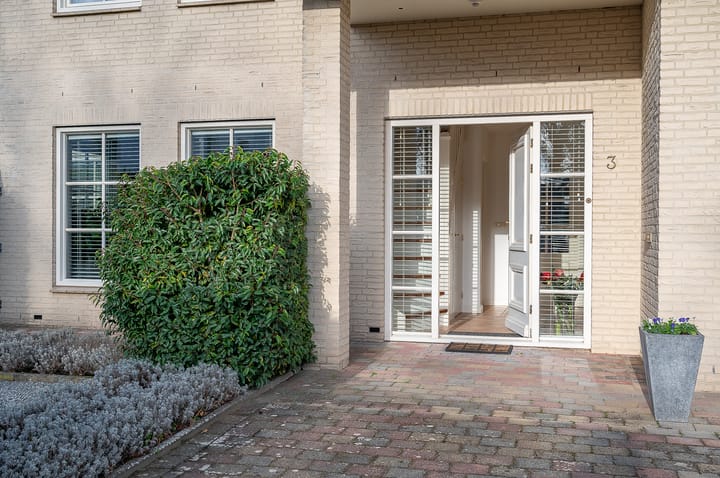 Foto 6 van Koolzaad 3