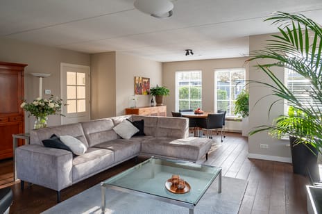 Koolzaad 3 secondary image