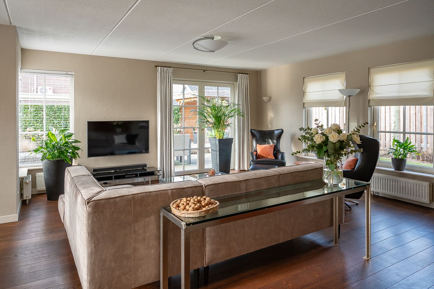 Foto 9 van Koolzaad 3