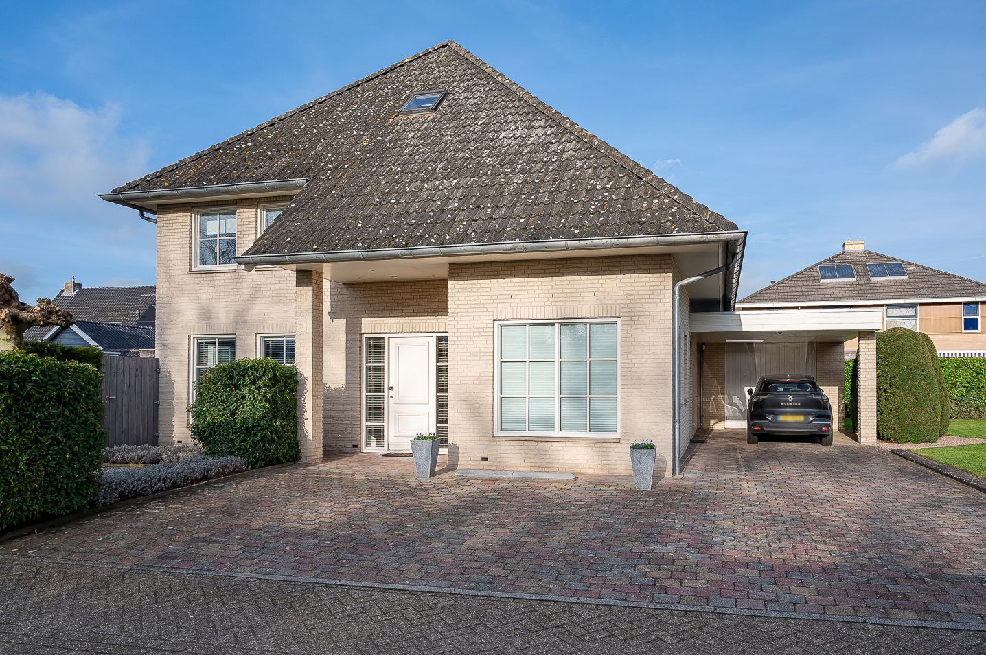 Foto 5 van Koolzaad 3