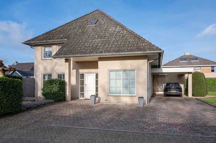 Foto 5 van Koolzaad 3