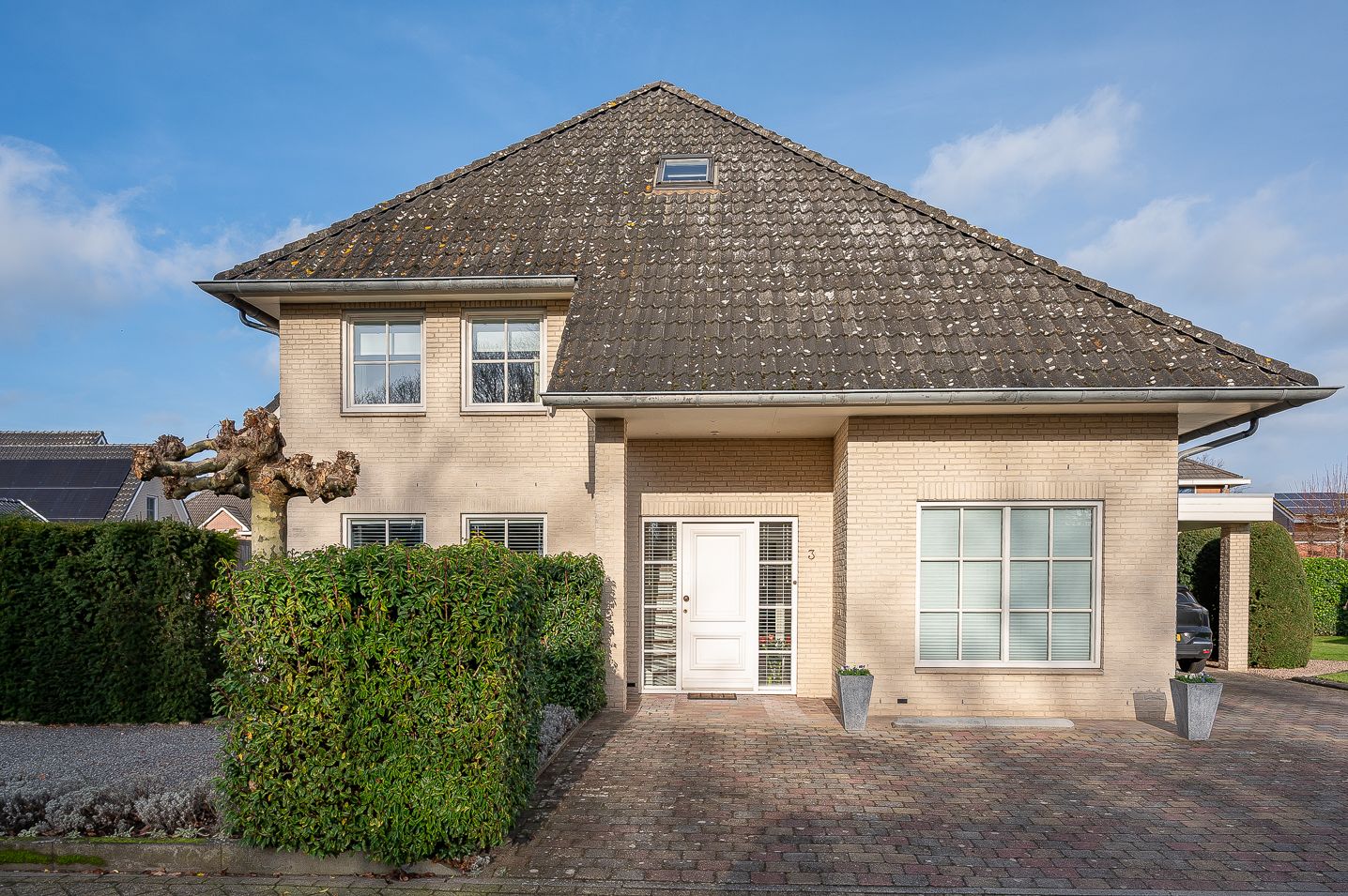 Foto 4 van Koolzaad 3