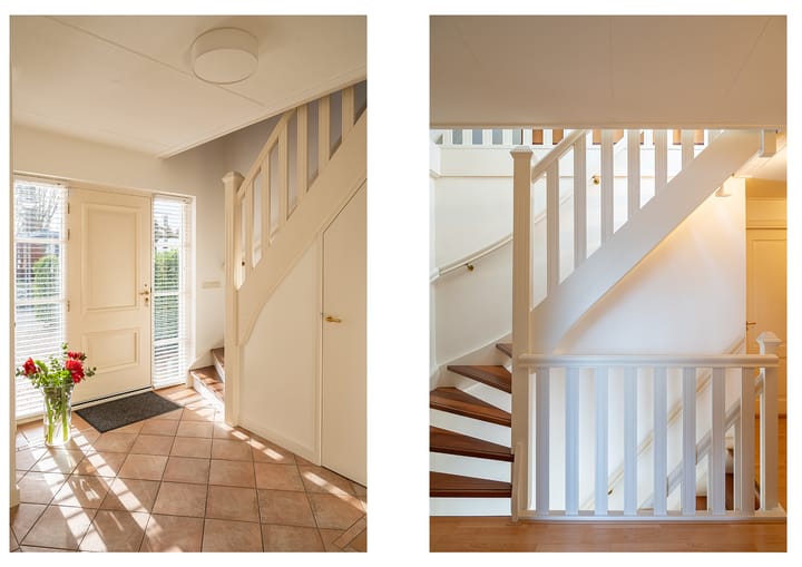 Foto 24 van Koolzaad 3