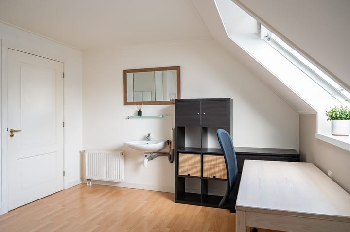 Foto 35 van Koolzaad 3