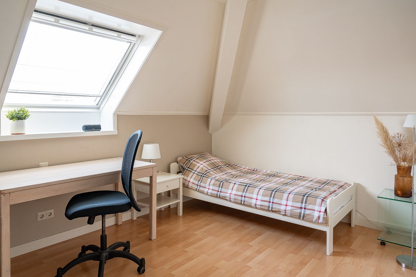 Foto 34 van Koolzaad 3