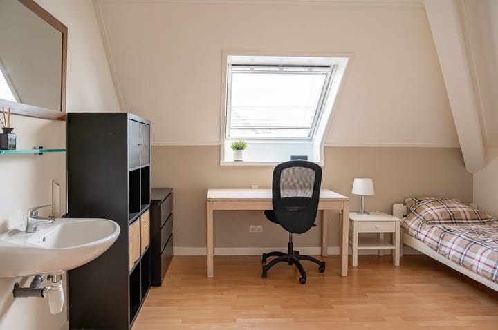 Foto 36 van Koolzaad 3