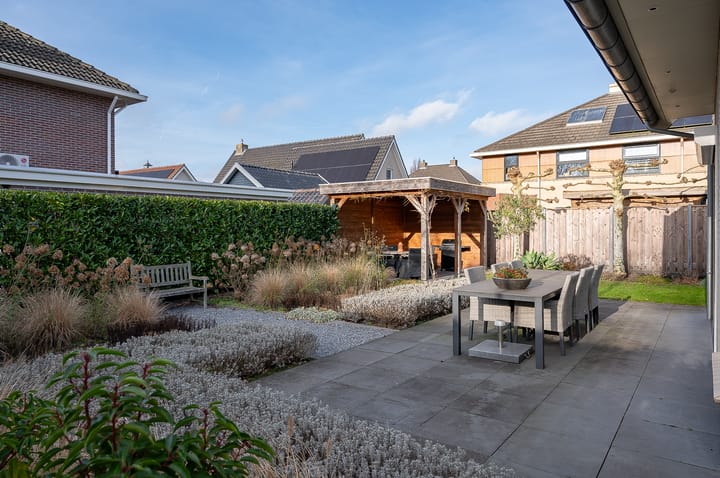 Foto 41 van Koolzaad 3