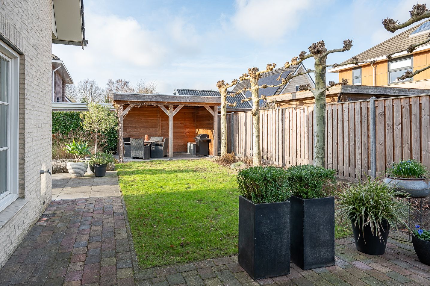 Foto 48 van Koolzaad 3