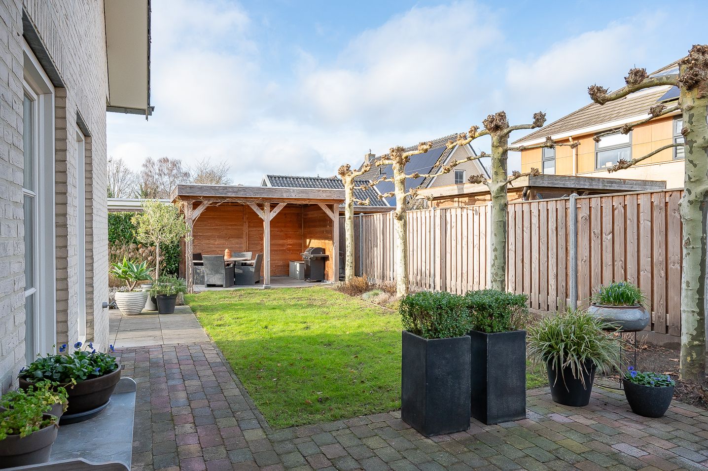 Foto 50 van Koolzaad 3