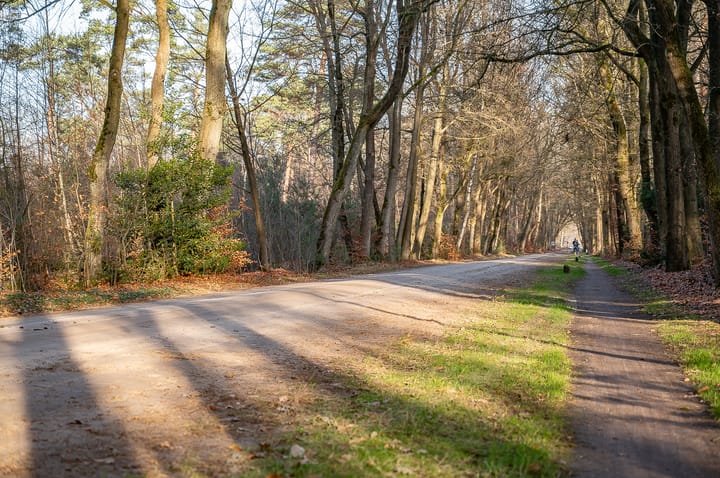 Foto 53 van Koolzaad 3