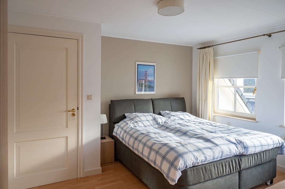 Foto 38 van Koolzaad 3