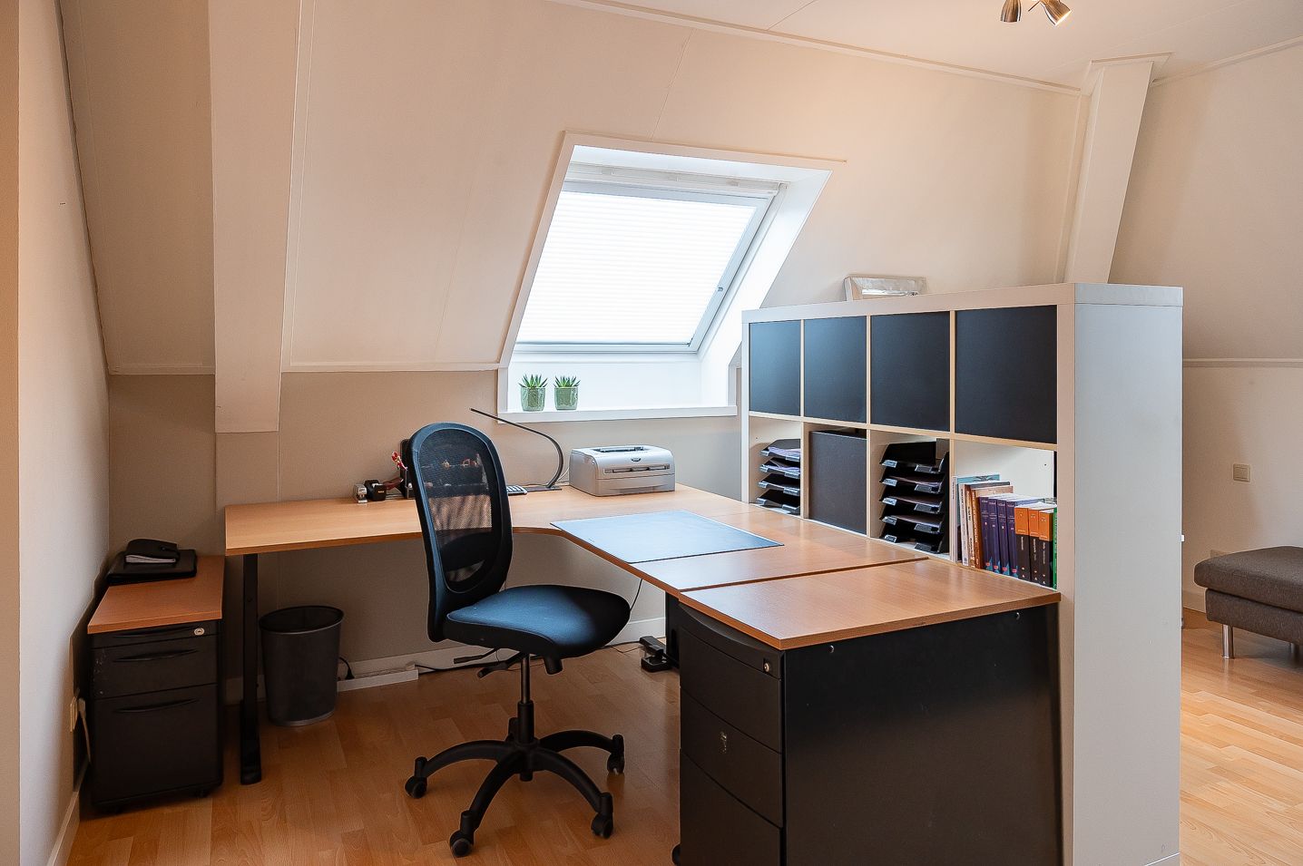 Foto 29 van Koolzaad 3