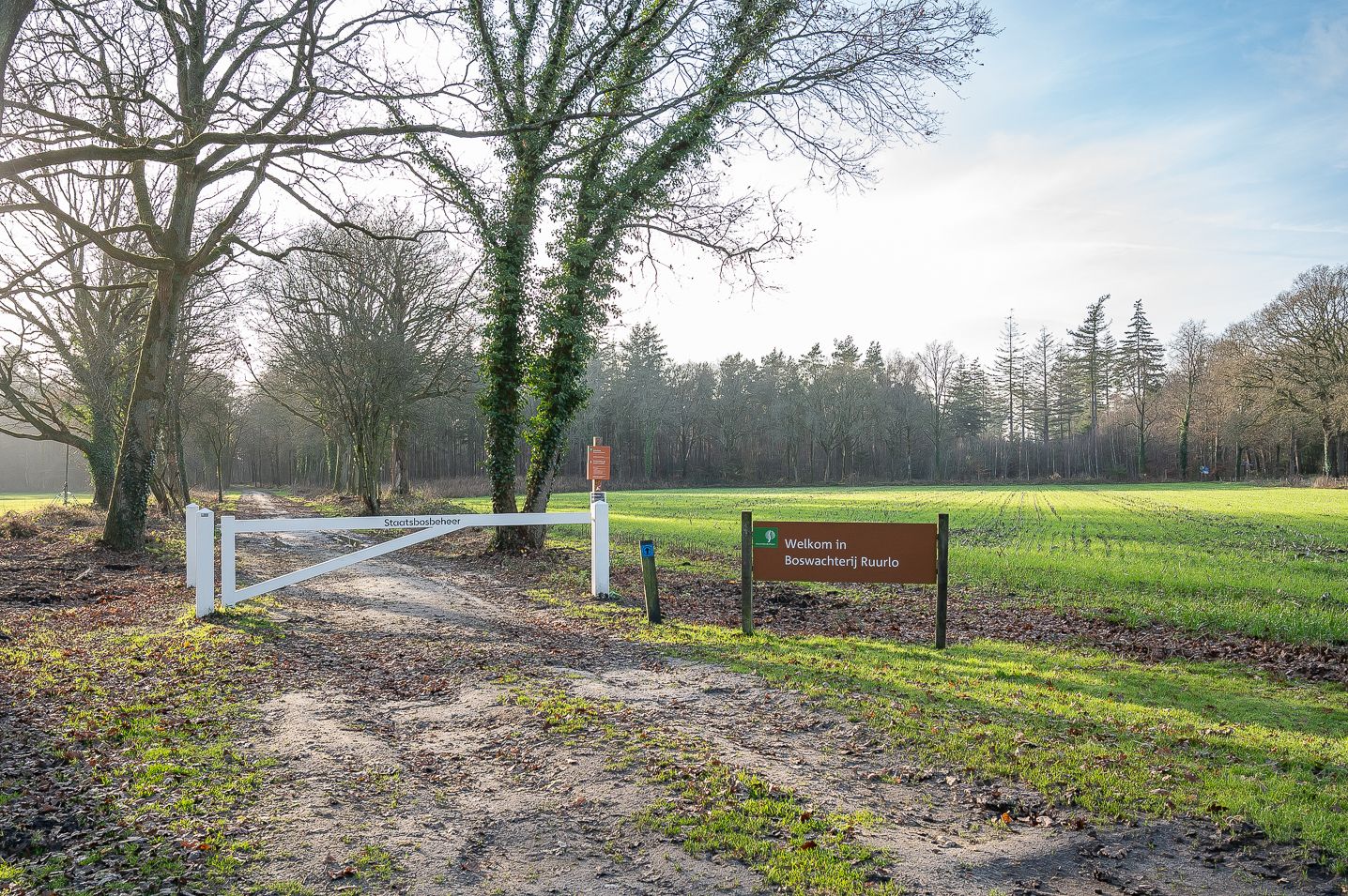 Foto 54 van Koolzaad 3