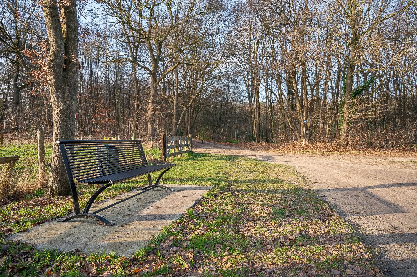 Foto 55 van Koolzaad 3