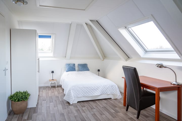 Foto 39 van Koolzaad 3