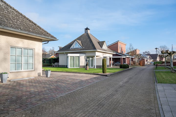 Foto 51 van Koolzaad 3