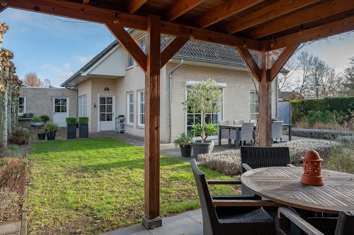 Foto 45 van Koolzaad 3