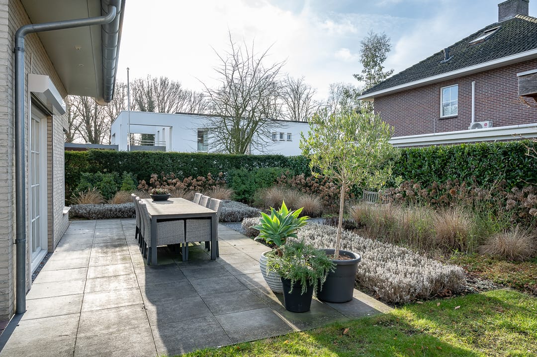 Foto 47 van Koolzaad 3