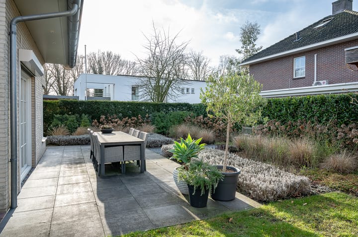 Foto 47 van Koolzaad 3