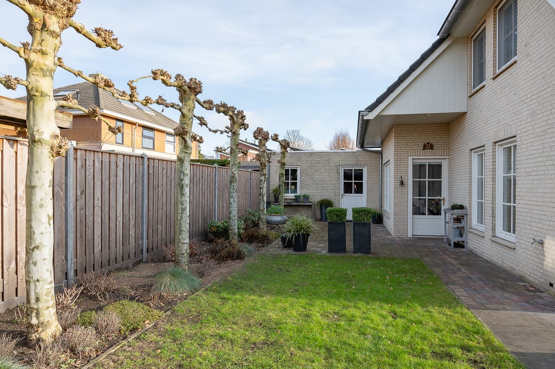 Foto 46 van Koolzaad 3