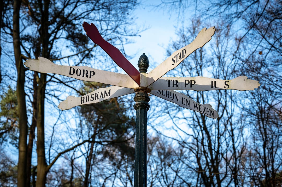 Foto 56 van Koolzaad 3