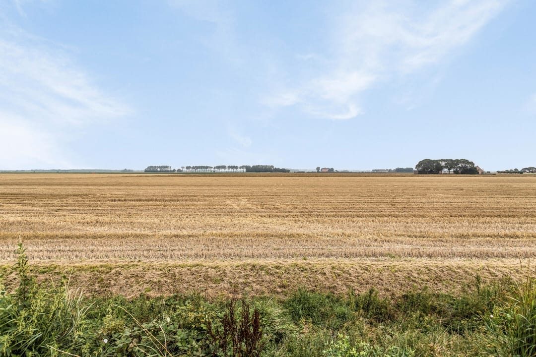 Foto 16 van Sint Bavodijk 16