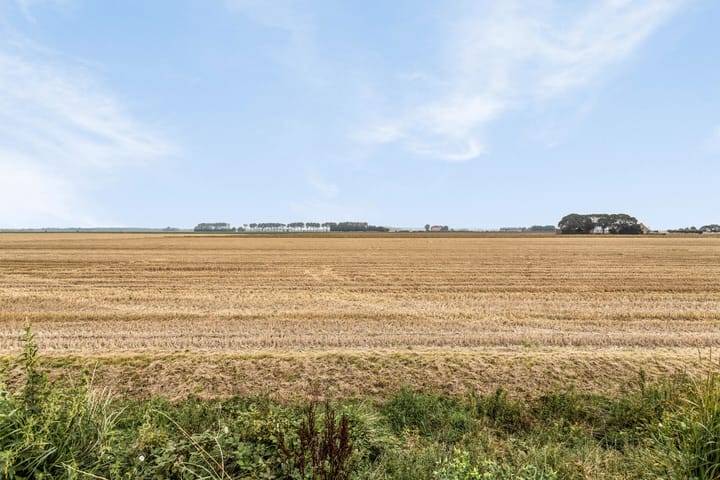 Foto 16 van Sint Bavodijk 16