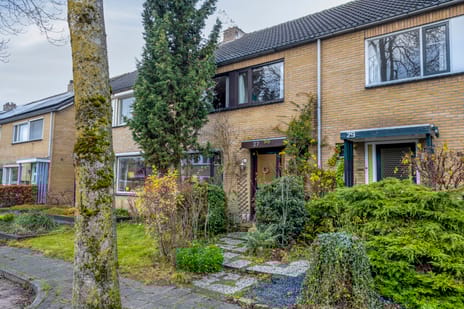 undefined main image