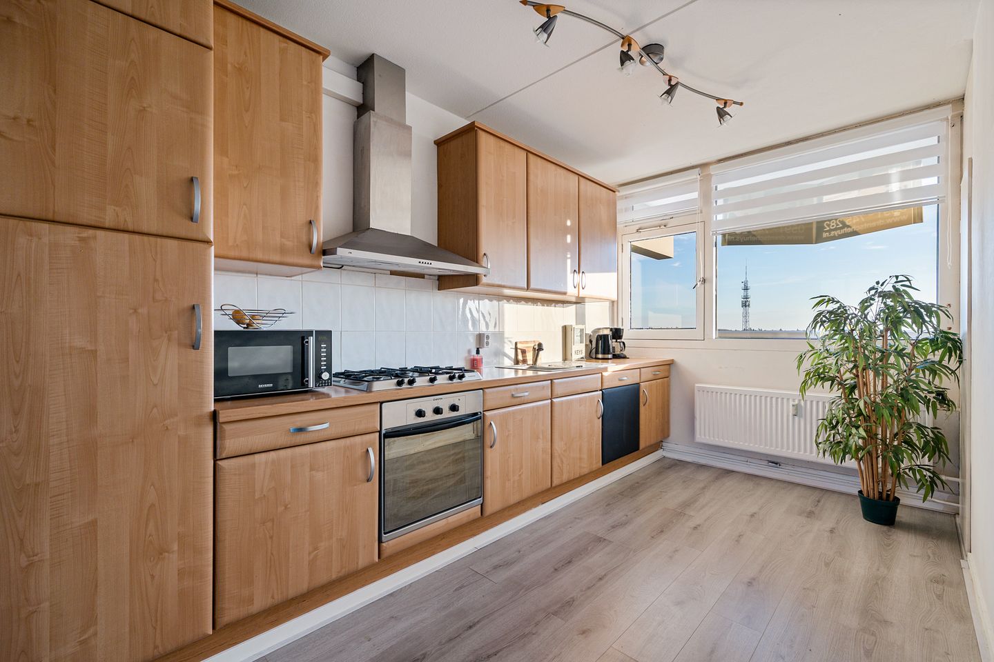 Photo 5 of Notaris Oostingstraat 97