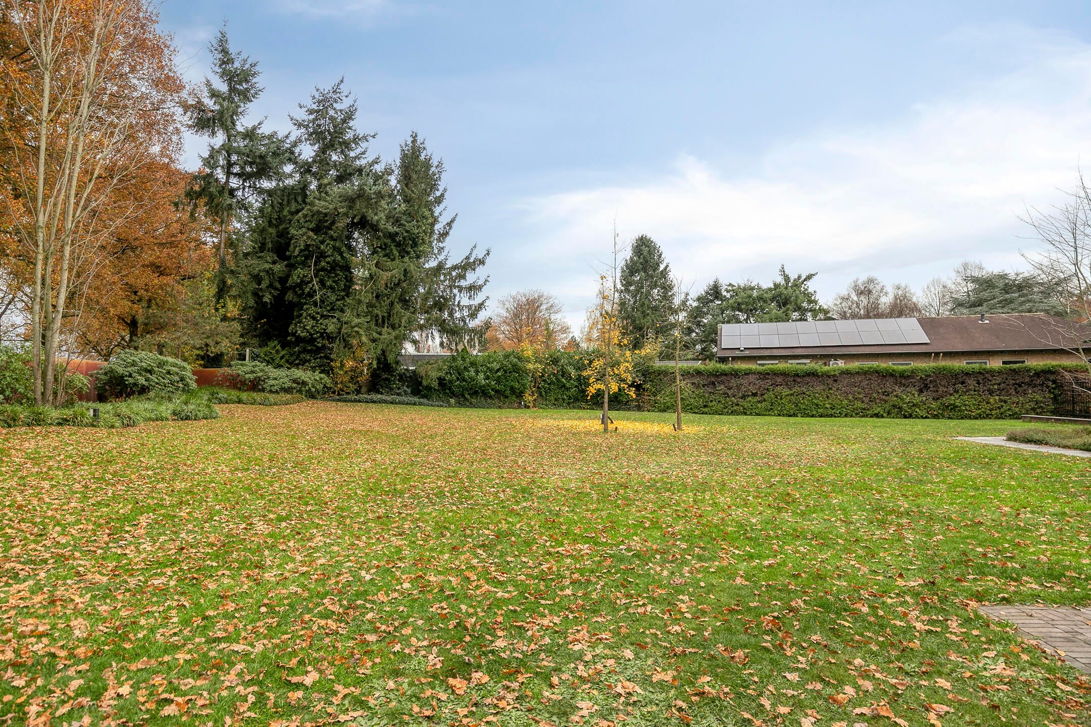 Foto 42 van Hezelaarstraat 85