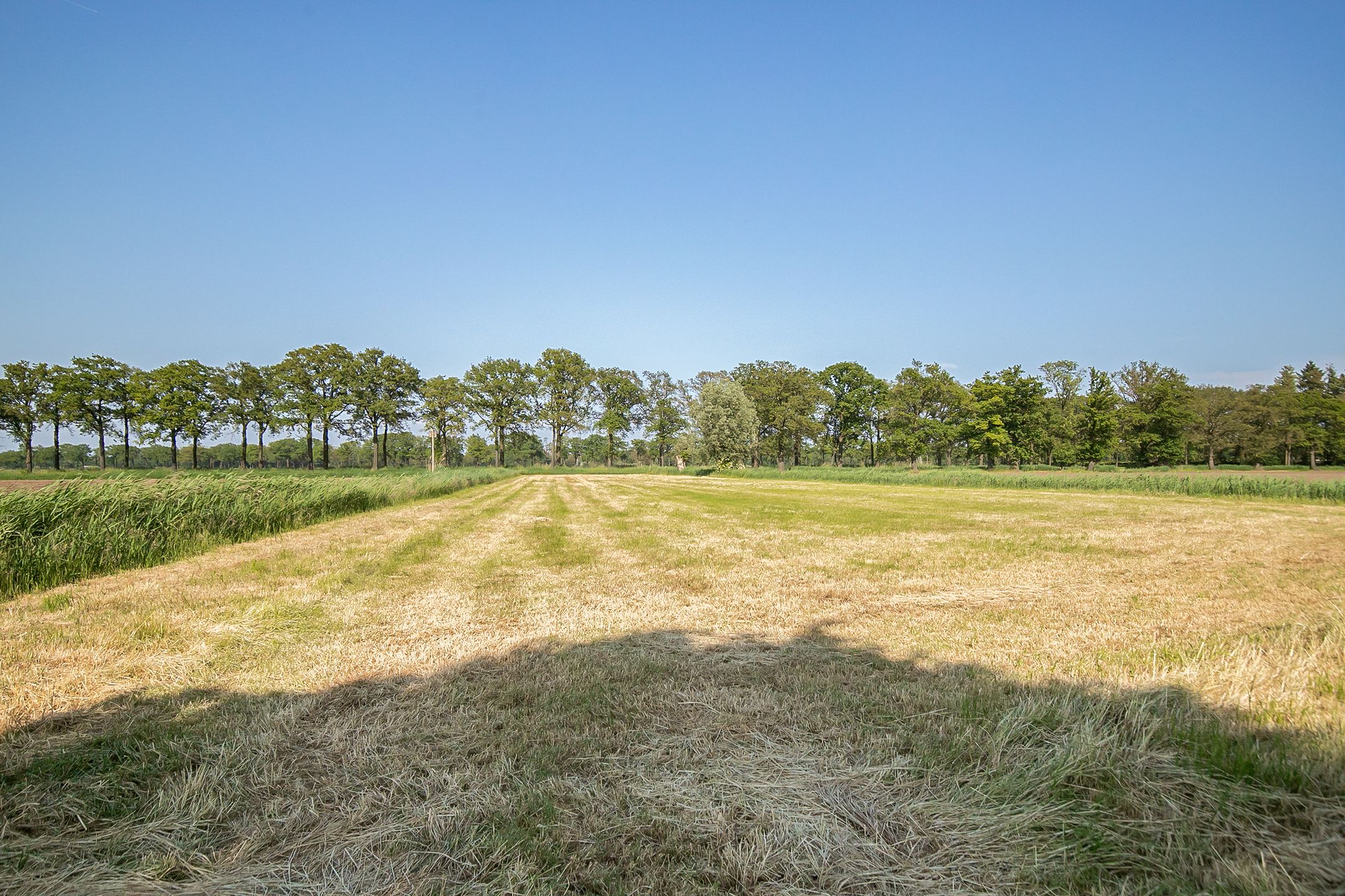 Foto 63 van Kloosterdreef 3