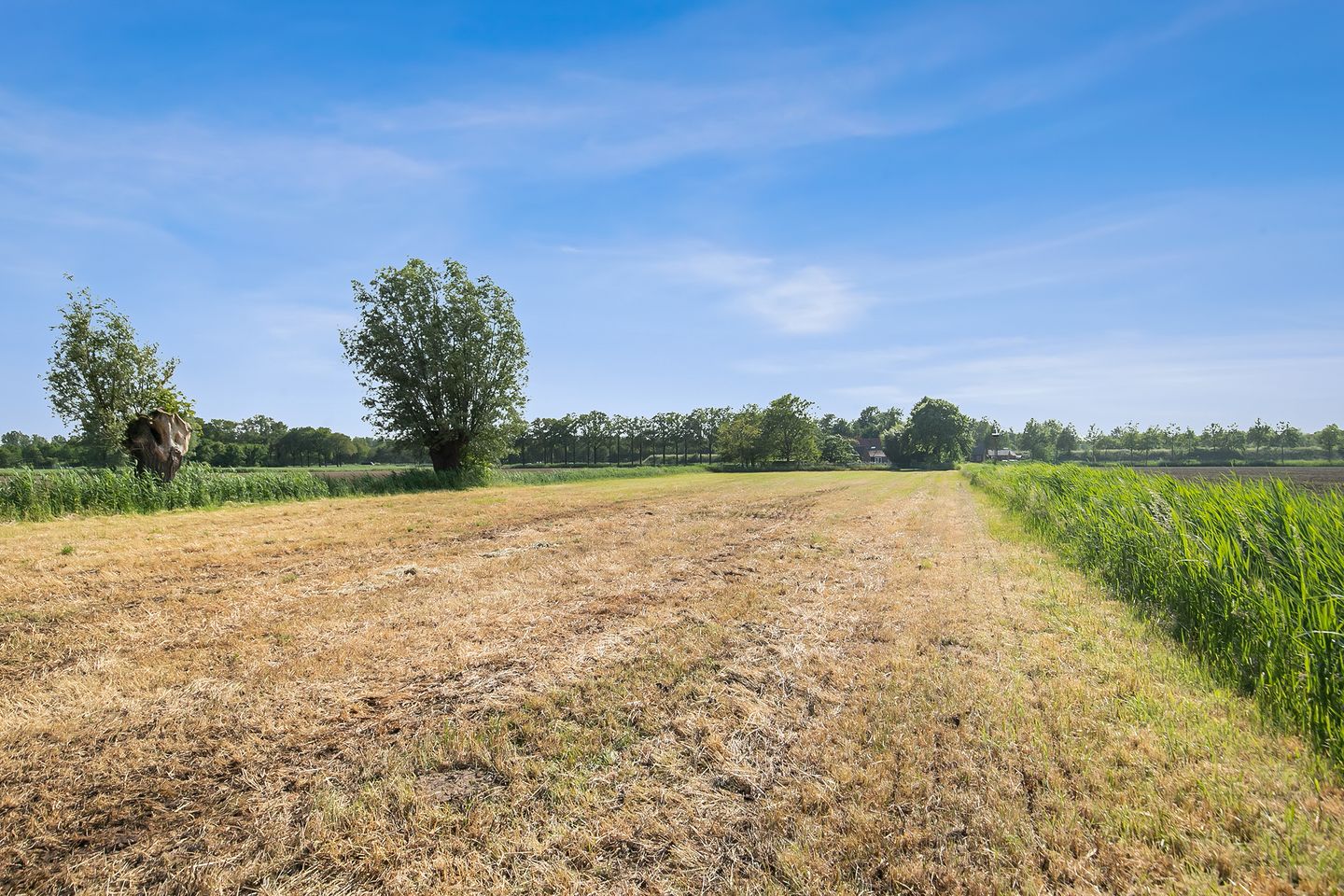 Foto 64 van Kloosterdreef 3