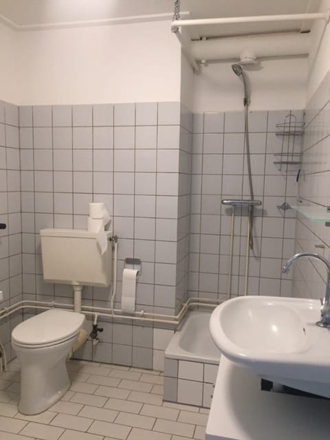 Foto 7 van Hekerbeekstraat 15-E