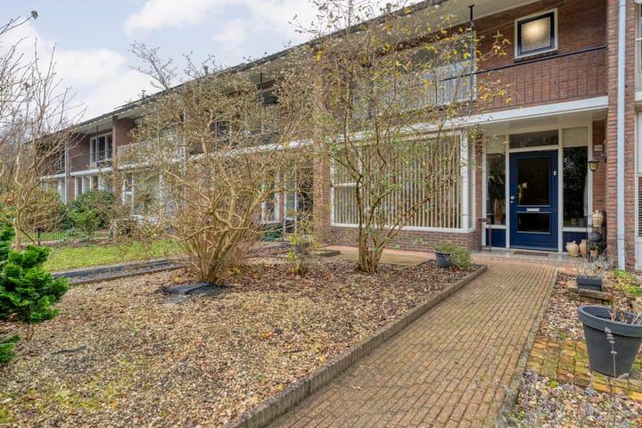 Foto 6 van David Krammerstraat 119