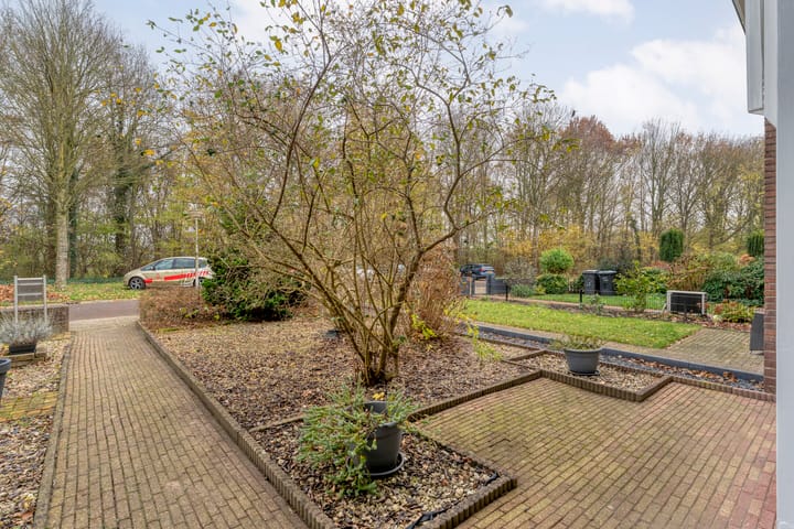 Foto 7 van David Krammerstraat 119