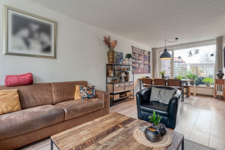 Foto 12 van David Krammerstraat 119