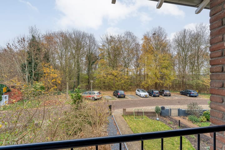 Foto 24 van David Krammerstraat 119