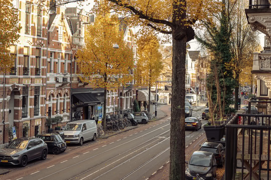 Foto 31 van Willemsparkweg 199-1