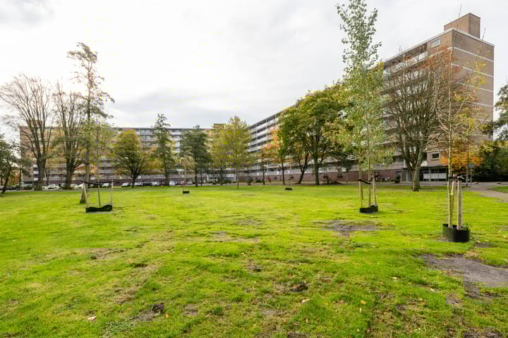 Photo 1 of Kelloggplaats 248