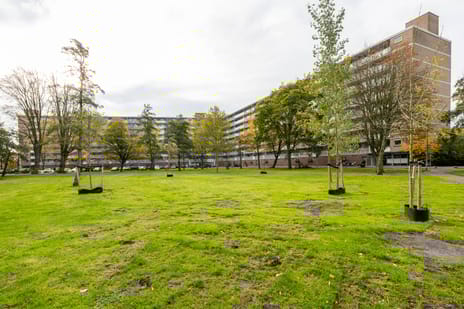 Kelloggplaats thumbnail