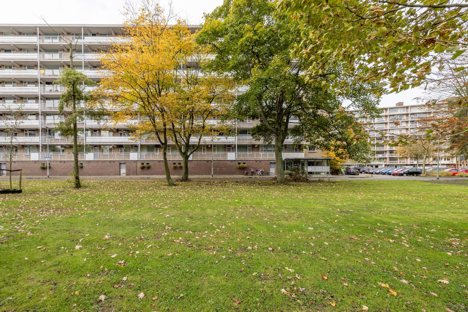 Foto 6 van Kelloggplaats 248