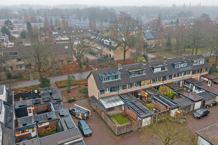 Foto 43 van Steynlaan 88