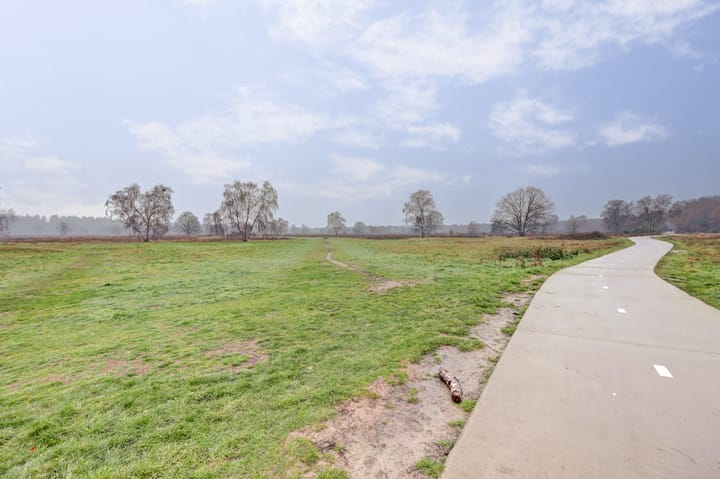 Foto 39 van Steynlaan 88