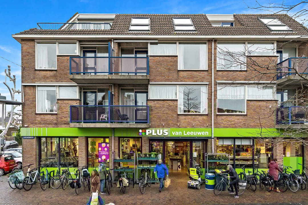 Foto 1 van Leeuwenberg 26