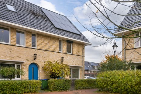 undefined main image