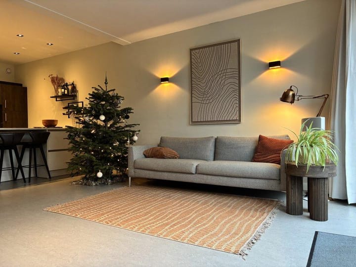 Foto 2 van Otto Snaafslaan 35