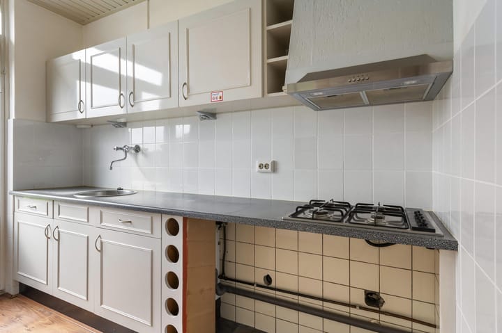 Foto 10 van Laan van Niftarlake 111