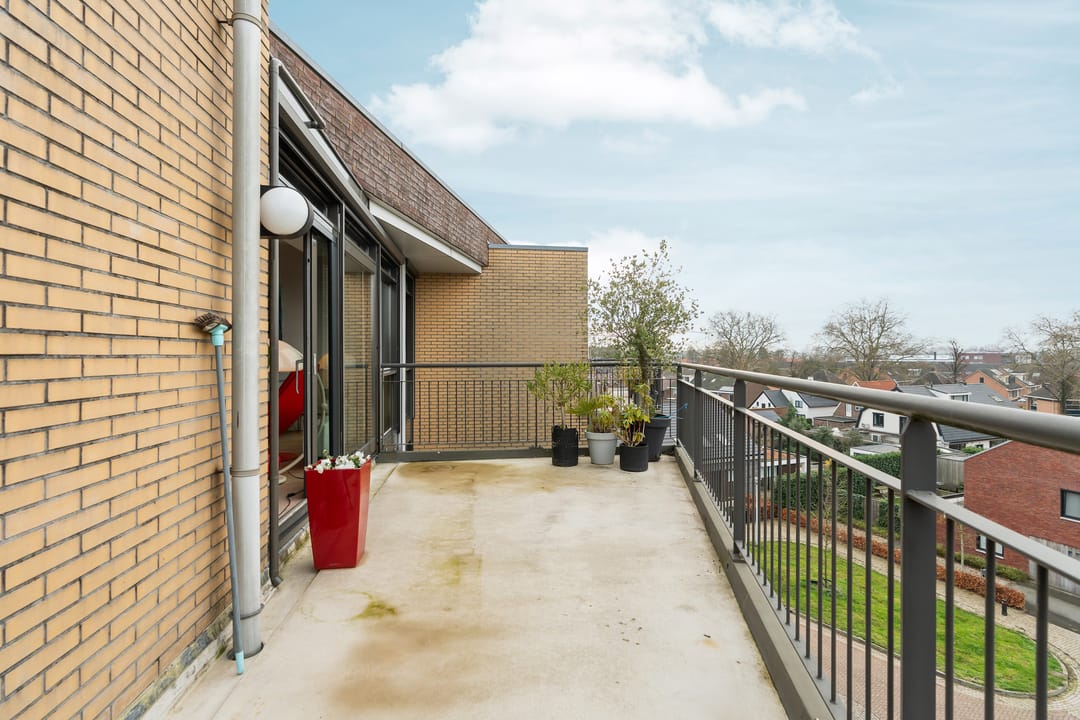 Foto 7 van Rietbaan 48